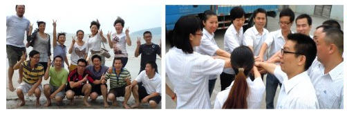 Recubrimiento de polvo SRS