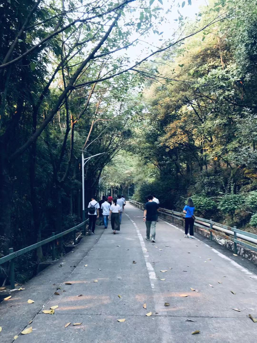 微信微信 _20190928162827